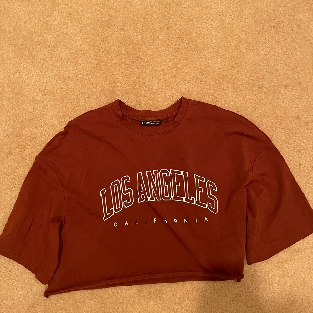 Los Angeles Brown Crop top